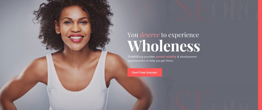 TheWISEorg banner new – The Wise Organization